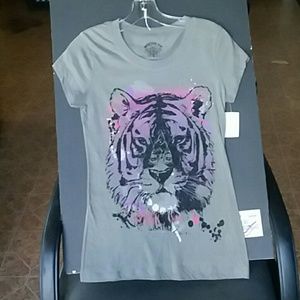 Pretty green and purple lion